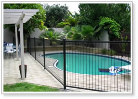 Pool Fence